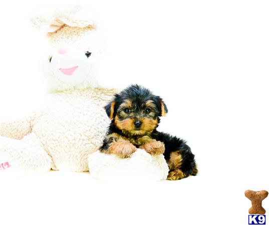addisongood Picture 2